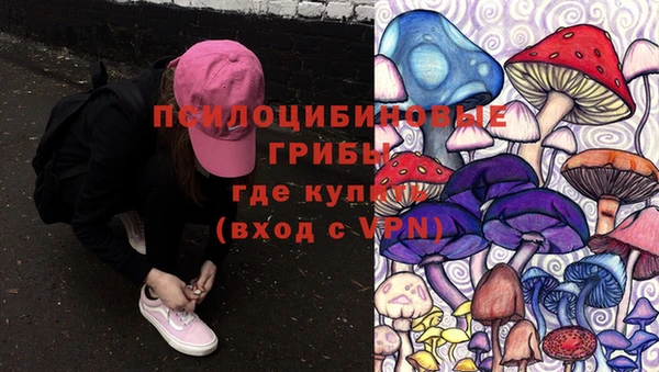 индика Алексеевка