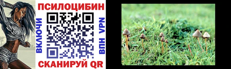 Псилоцибиновые грибы Magic Shrooms  Закаменск 